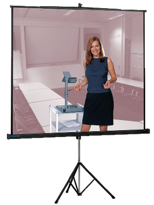 Projecta - 10430109 - Mobile Professional Screen 178 x 178 cm, 10430109, Projecta