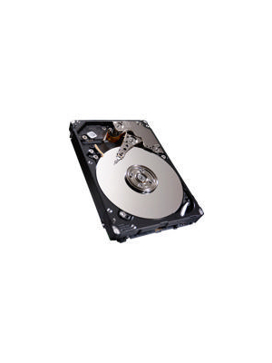 Seagate - ST300MM0026 - HDD 2.5" SAS 6 Gb/s 300 GB, ST300MM0026, Seagate