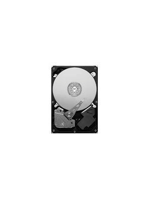 Seagate - ST3500312CS - HDD 3.5" SATA 3 Gb/s 500 GB, ST3500312CS, Seagate