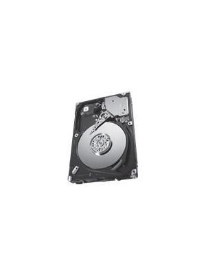 Seagate - ST9300553SS - HDD 2.5" SAS 6 Gb/s 300 GB, ST9300553SS, Seagate