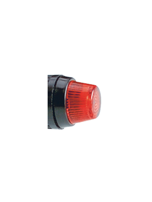 RAFI - 5.49.255.002/1002 - Indicator Lamp Lens colourless, 5.49.255.002/1002, RAFI