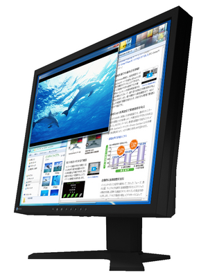 Eizo - S1923H black - FlexScan High End TFT, S1923H black, Eizo