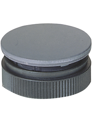 RAFI - 5.05.800.067/0000 - Blanking cap round 22 mm slate, 5.05.800.067/0000, RAFI