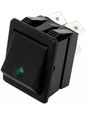 Arcolectric - C1553PTNAO - Rocker switch 2P 16 A 250 VAC black, C1553PTNAO, Arcolectric